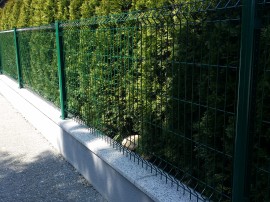 Rohrbach Kompletna fasada in ograja