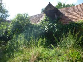 Kompletna adaptacija hiše in poslopja, Hirsdorf
