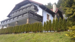 Adaptacija fasade in lesa